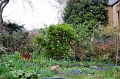 2008-04-08 17.37.53